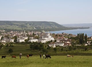 Πανοραμική άποψη της Σαμψούντας. Στα δεξιά διακρίνεται η ελληνική συνοικία, ο μητροπολιτικός ναός της Αγ. Τριάδος και τα σχολεία της ελληνικής κοινότητας. Φωτογραφία των Αδελφών Κακούλη, δεκαετία 1890