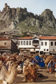 Δρόμος της Τοκάτη 1905 - Καραβάνι σε ώρα ανάπαυσης - Συλλογή Θεοφυλάκτου Άννα 