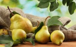 Ανέκδοτο Ματσούκας - Λαογραφικά Γλωσσικά Σύμμεικτα Πόντου. Απ' τον γλωσσικό θησαυρό των Ελλήνων του Πόντου.