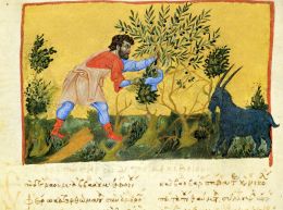 Χριστιαννάρτς ή Σαρανταήμερος ή Χριστιεννάρης, Δεκέμβριος. Ήθη και έθιμα των Ελλήνων στον Πόντο.