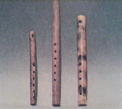 laografia-mousika-organa-kavalia