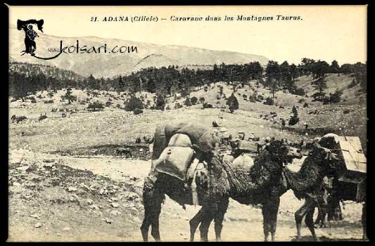 Καραβάνι με καμήλες στα Άδανα 