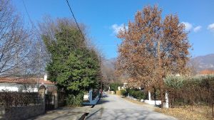 Η νότια είσοδος στο χωριό Καβαλάρης του νομού Κιλκίς  (φωτογραφία απο το Βικιπαιδεια)