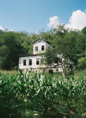 Το σπίτι του Χουρσίτ μέσα στο χωράφι με τα καλαμπόκια στη Λαραχανή του Πόντου