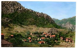 Η καταστροφική πυρκαγιά του 1915 στην Νικόπολη του Πόντου
