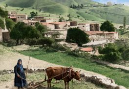 Άρδασα Τραπεζούντας Πόντου 1911 - Η Ζωγραφία Σεργιάδου με το βόδι αλωνίζει το κτήμα της 